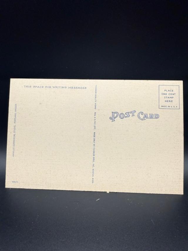 Vintage Mt Hood Portland Oregon Postcard Linen Style Scenic City View