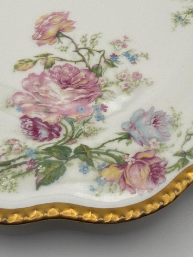 Haviland Limoges Antique Plate Floral Roses Gold Gilt Edge Chas Mayer Indianapolis France Porcelain 1895-1915