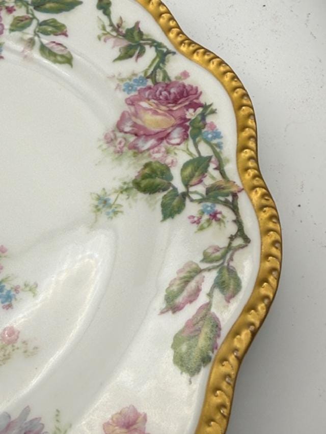 Haviland Limoges Antique Plate Floral Roses Gold Gilt Edge Chas Mayer Indianapolis France Porcelain 1895-1915