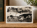 Vintage Crystal Cave Postcard: Black Hills SD Chimes Photo Souvenir