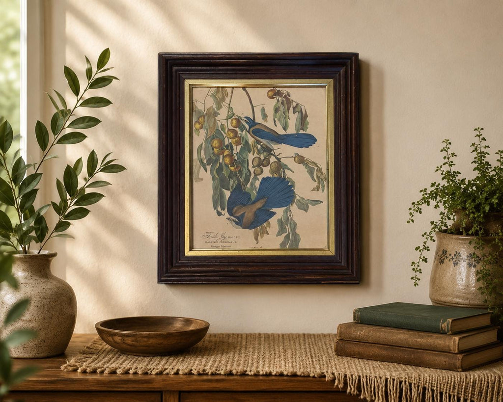 Vintage Wall Art Framed Audubon Florida Jay Bird Print Botanical.