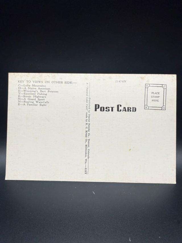 Vintage Greetings From Cheyenne Wyoming Large Letter Linen Postcard Western Cowboy Capitol Souvenir