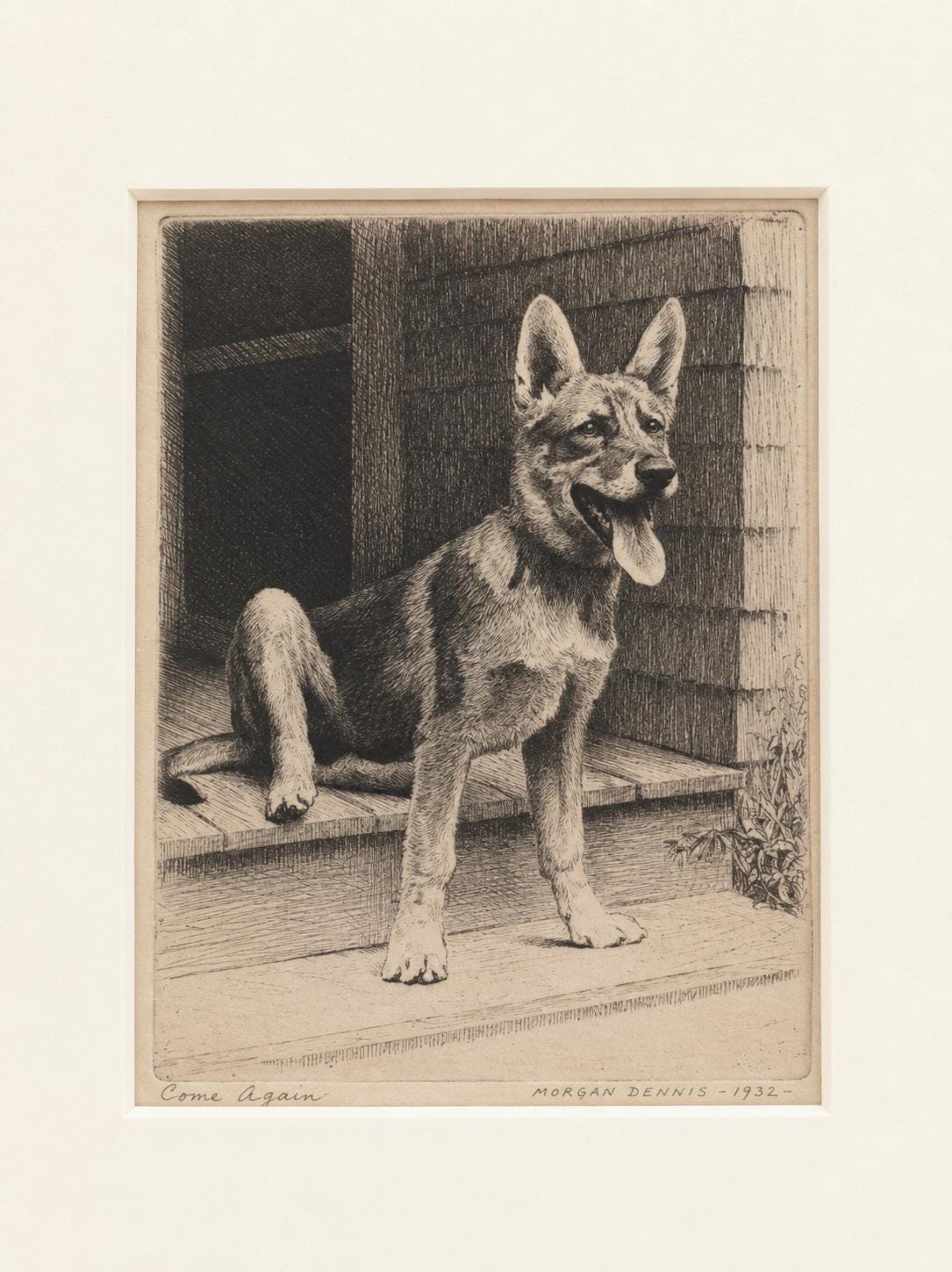 Morgan Dennis Signed Etching Come Again 1932 German Shepherd Dog Framed Vintage Art