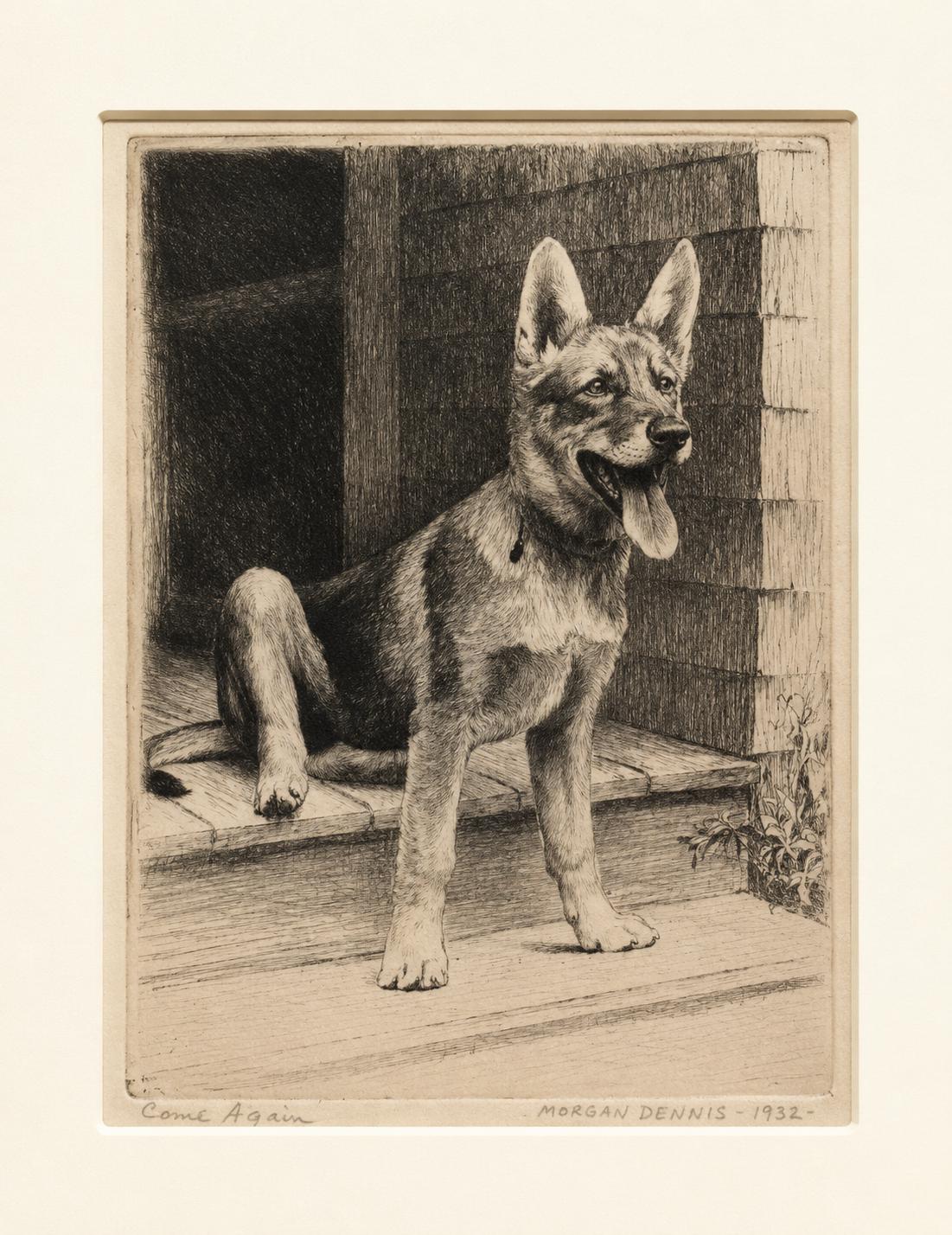 Morgan Dennis Signed Etching Come Again 1932 German Shepherd Dog Framed Vintage Art