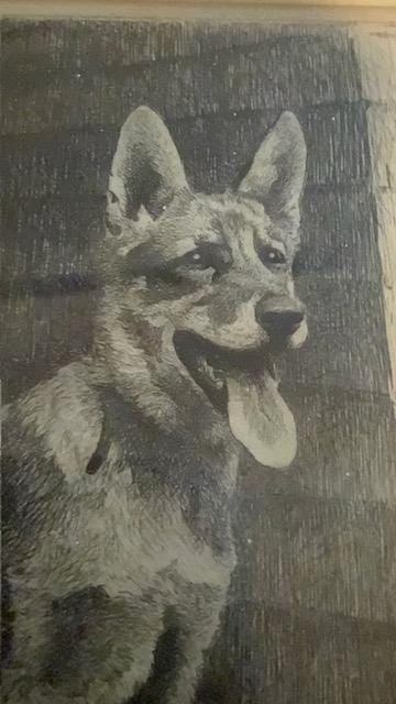 Morgan Dennis Signed Etching Come Again 1932 German Shepherd Dog Framed Vintage Art