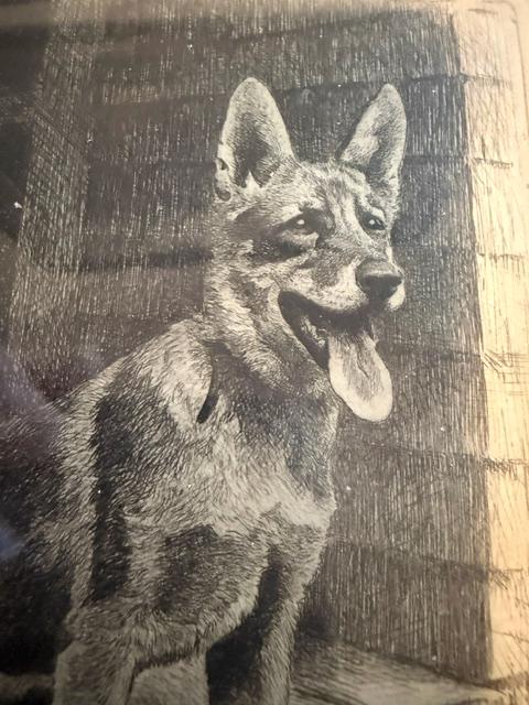 Morgan Dennis Signed Etching Come Again 1932 German Shepherd Dog Framed Vintage Art
