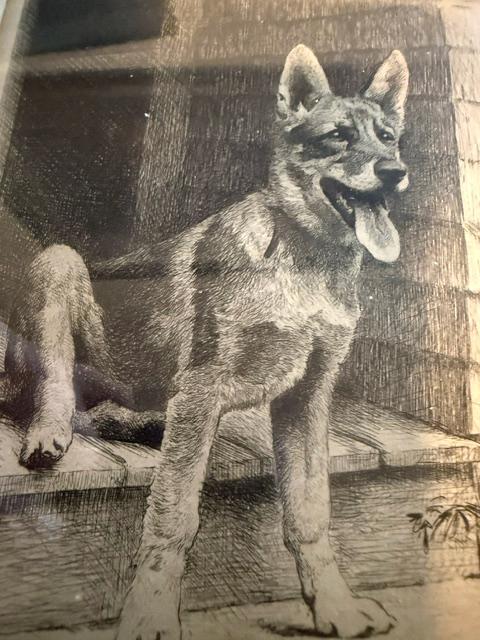 Morgan Dennis Signed Etching Come Again 1932 German Shepherd Dog Framed Vintage Art