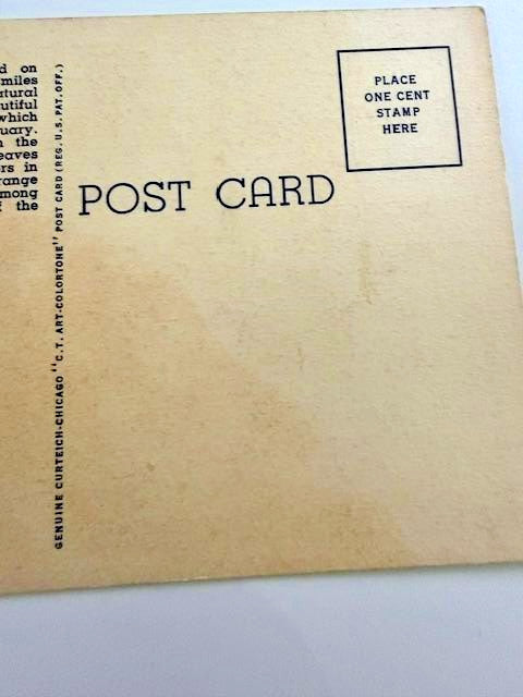Vintage 1940s Bellingrath Gardens Mobile Alabama Curt Teich Linen Postcard Unuse