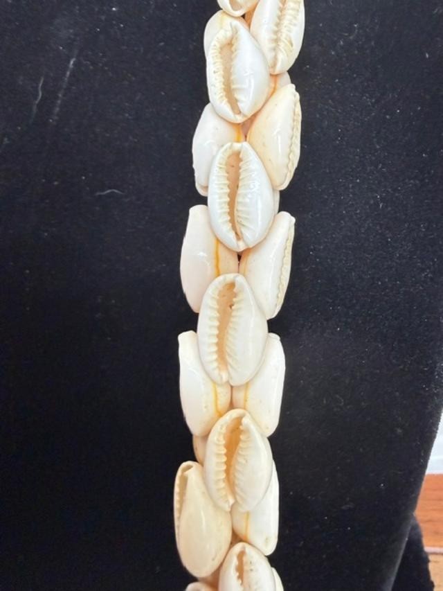 Shell Necklace 18 inch