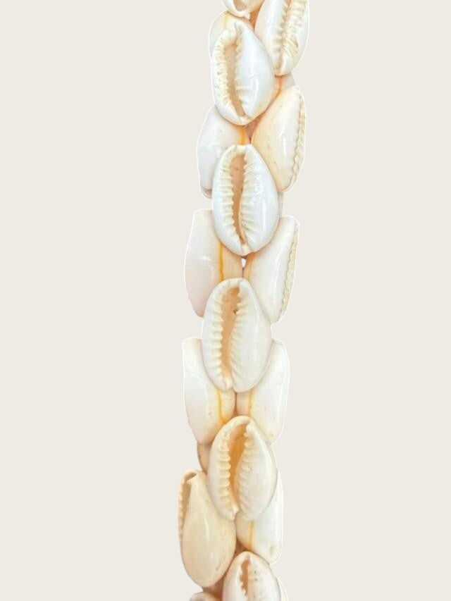 Shell Necklace 18 inch