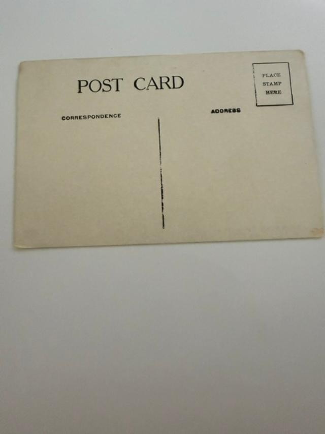 Vintage Pike’s Creek Racine Wisconsin Scenic Postcard Unposted 1920s