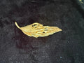 VINTAGE LARGE 3 1/2" GOLD TONE LEAF PIN BROOCH