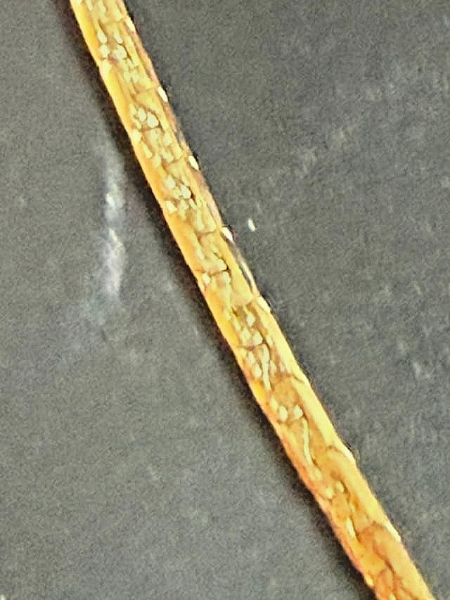 Gold Tone Textured Ball Bead Pendant Flat Chain Necklace 24 Inch