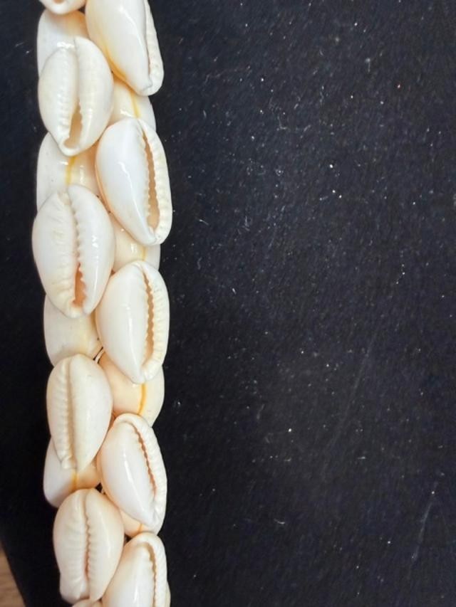 Shell Necklace 18 inch