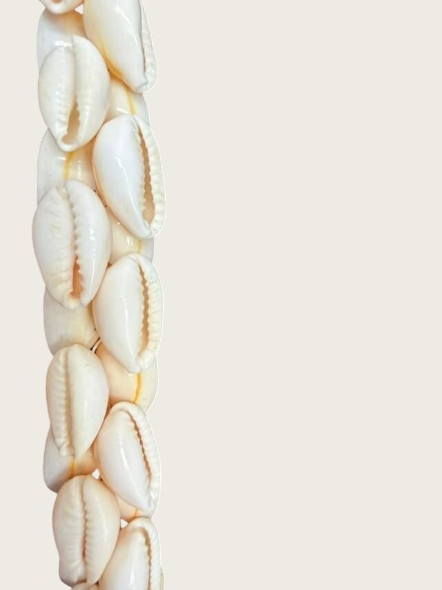 Shell Necklace 18 inch