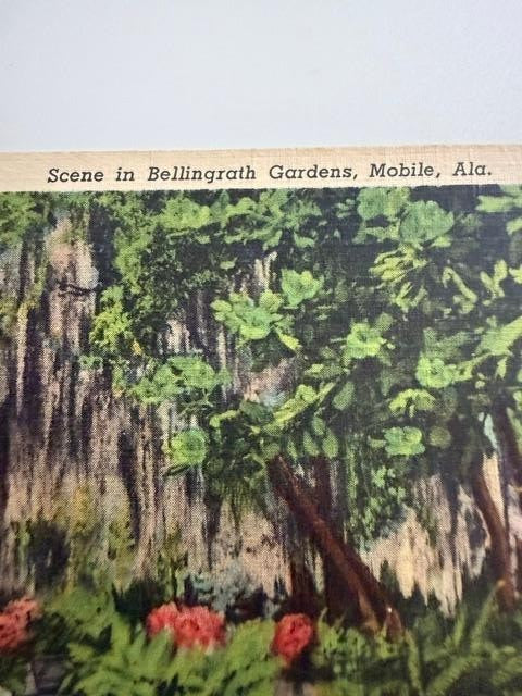 Vintage 1940s Bellingrath Gardens Mobile Alabama Curt Teich Linen Postcard Unuse