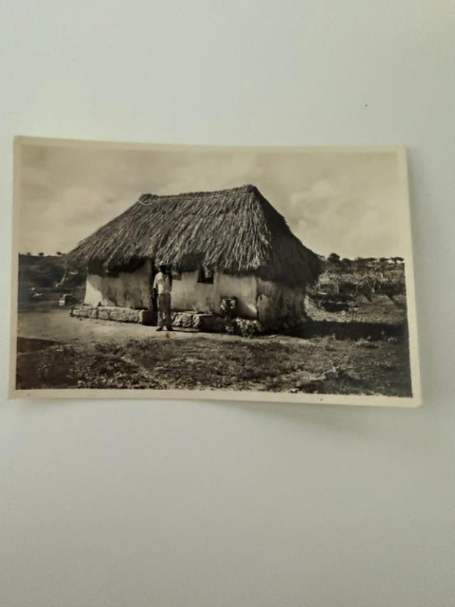 Vintage Curacao N.W.I. Native Hut RPPC Foto Fischer Russian Peasant Shop